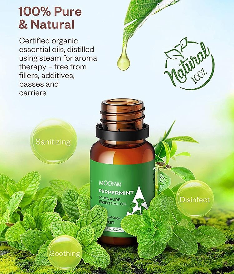 aromatherapy essential oil kits